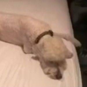 Meet your Posher, Becca